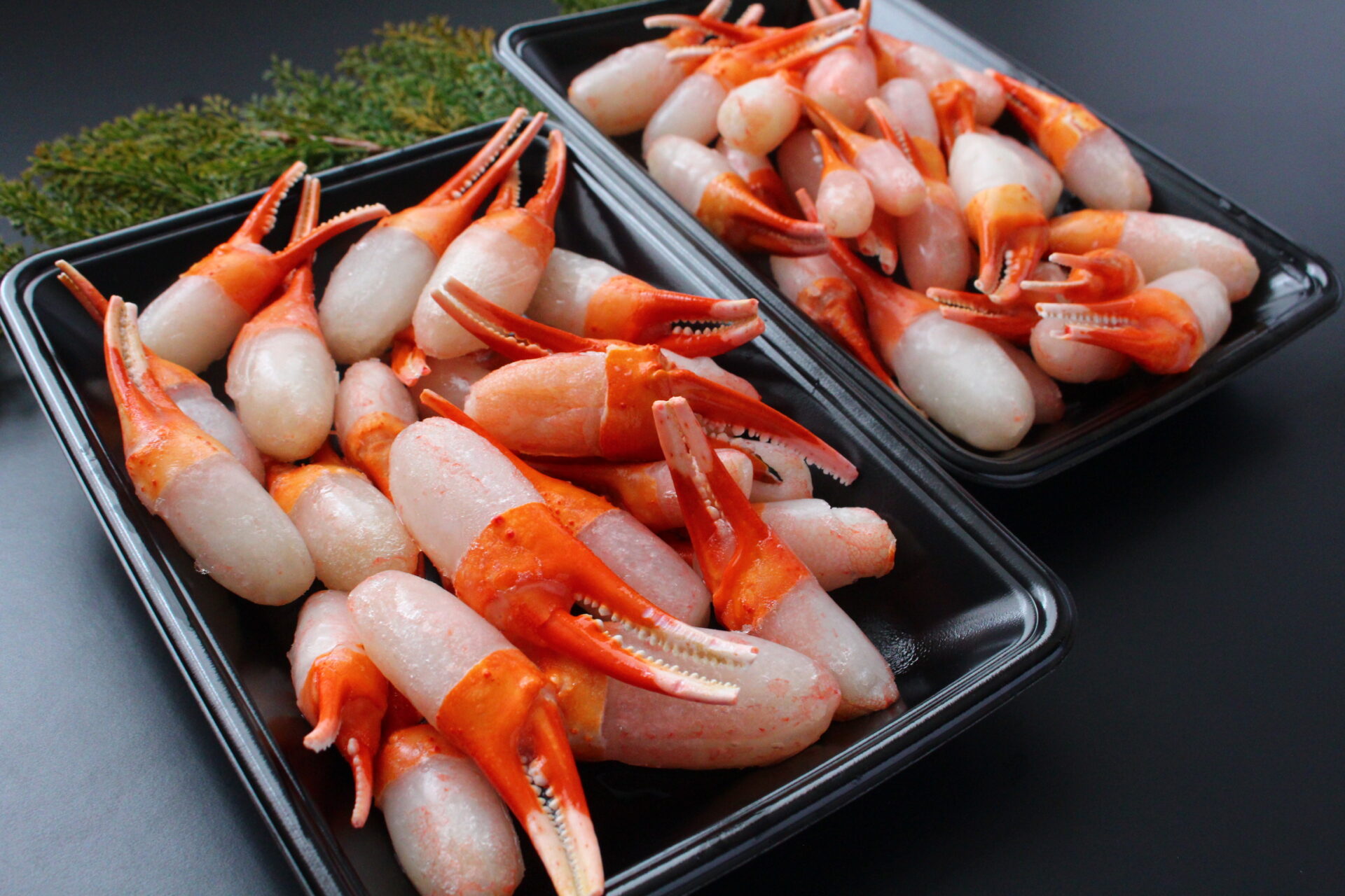 【ドカ盛り】ズワイガニ蟹爪セット　1.0kg蟹爪2